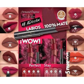 2 Labial Mate Armand Dupree Perfect Stay Tono A Elegir                                                                                                