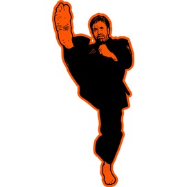 Chuck Norris Kicks Everything Decal/Sticker 5" X 2"