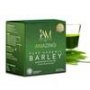 WORLDWIDE Amazing Pure Organic Barley Powdered Drink Mix (10 x
