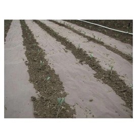 WeedGuard Plus Standard Weight Biodegradable Paper Weed Barrier (Width 24" Length: 50')