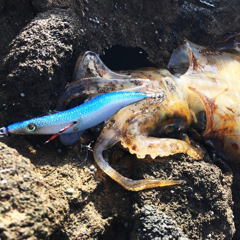 Egi Sharp egisharp No. 3.5 V0 (15g) Real Bait Blue