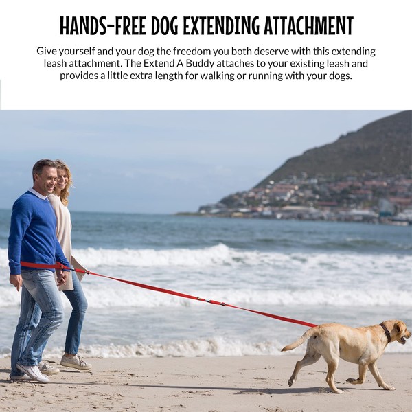 The Buddy System Accessories for Our Dog Leashes Made in