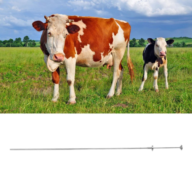 Cow Inseminating Rod 304 Stainless Steel Artificial Animal Breeding Tool