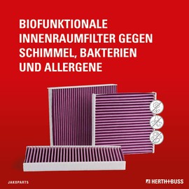 Cabin Air Filter