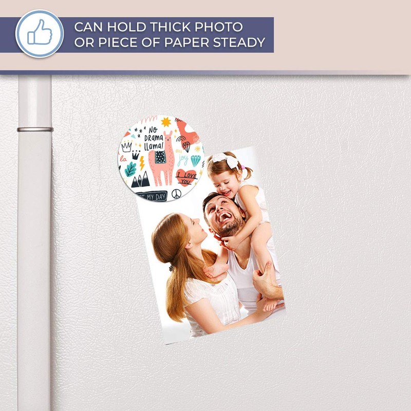 Destination Vinyl ltd Magnet for Refrigerator, Fridge - Love Garden