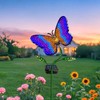EDOF Solar Butterfly with Sparkling Light-Up Wings Garden Lights Outdoor