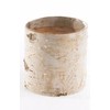 Afloral Natural Birch Vase with Clear Liner - 4.75" Tall