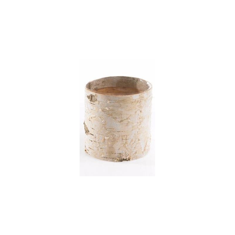 Afloral Natural Birch Vase with Clear Liner - 4.75" Tall
