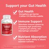 ImmunoPower Organic Probiotics Gummies | 5 Billion CFU Probiotics for