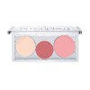 ESSENCE BLUSH PLAY SCULPTING PALETA COLORETE 10