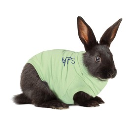 MPS Medical Pet Shirt Rabbit, Surgery Recovery Suit, Green, XXX-Small