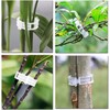 200 pcs Pinza de plástico para Plantas, Soporte de Plantas
