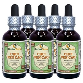 Chui Pen Cao (Sedum sarmentosum) Glycerite, Dried Herb Alcohol-Free Liquid Extract (Brand Name: HerbalTerra, Proudly Made in USA) 5x2 fl.oz (5x60 ml)