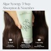 Leave In Algae Therapy Mineral No wash Treatment 150ml