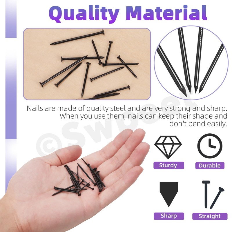 Swpeet 500Pcs 4 Sizes Hardware Nails Assortment Kit, Black Galvanized