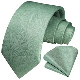 HISDERN Men's Tie Paisley Sage Green Tie Handkerchief Wedding Necktie and Pocket Square Set Floral Jacquard Solid Tie Set