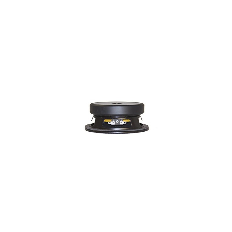 Eminence American Standard Series Beta-6A 6" Mid/Bass Pro Audio Speaker,