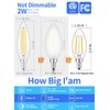 CRLight LED Candelabra Bulb 5000K Daylight White, 25W Equivalent 250