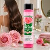Shampoo de Aceite con Rosa Mosqueta, Suavidad, Anticaída, Regenerador, 500