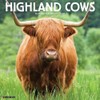 Highland Cows 2026 12" x 12" Wall Calendar