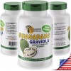 Naturals Graviola Supplement Naturale De Guanabana Pura Para Ayudar A