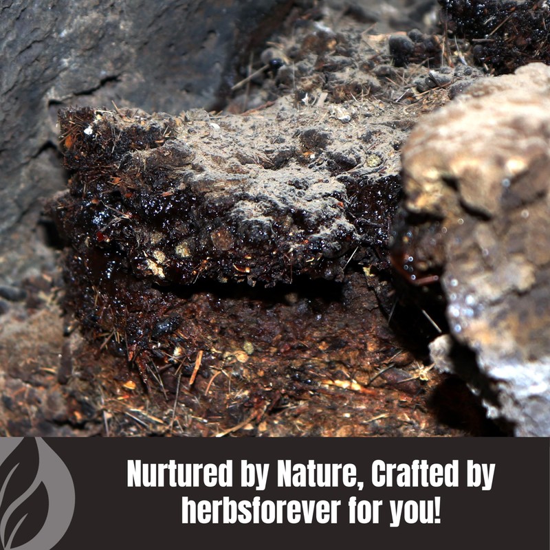 Herbsforever Shilajit Powder Mineral Pitch Antioxidant General Wellness Concentrated Extract