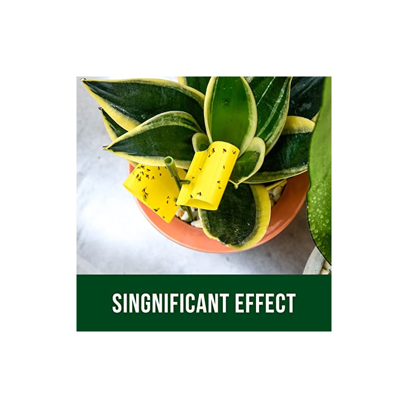 Garsum 21 Sticky Traps for Indoor Plants - Catch Gnat