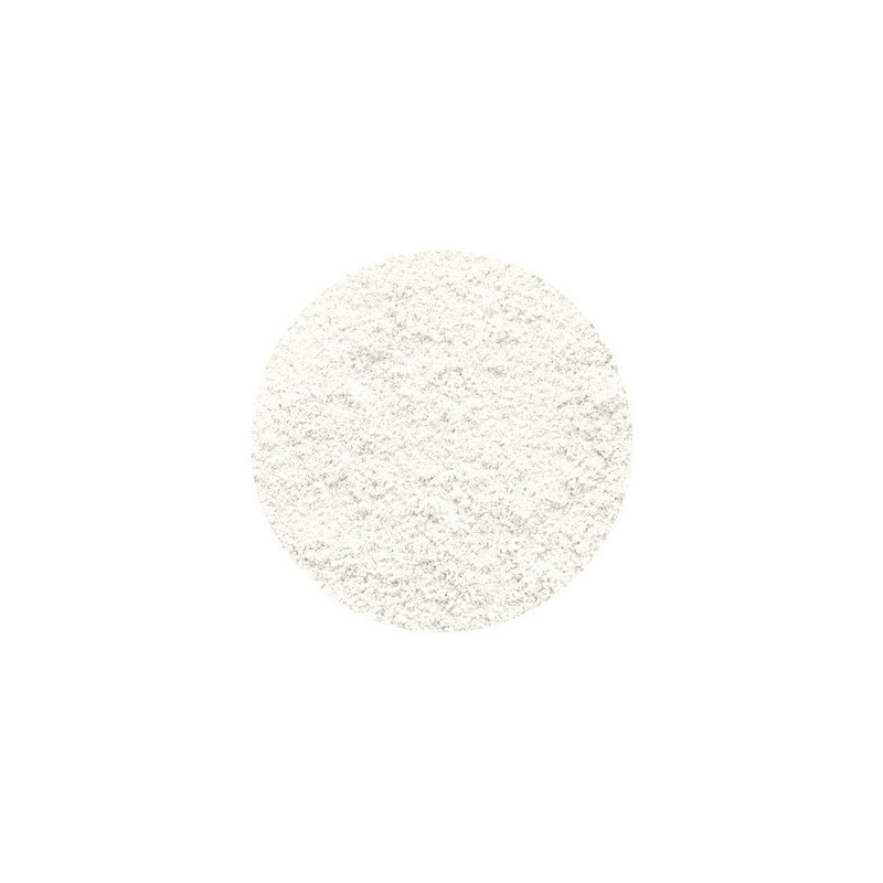 Anna Sui NEW 컬러 추가_루스 페이스 파우더 (리필) NEW Color