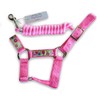 HalterUp Miniature Donkey Halters and Lead Ropes (2 Item Bundle)