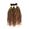 3HW 1BP427 Water Wave Hair Extensions 16 18 20