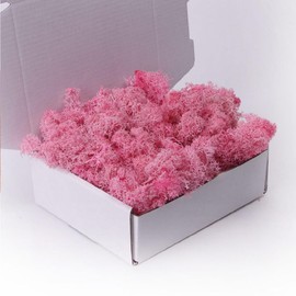 Preserved Moss-3.5 OZ Moss for Crafts Faux Moss Decor Natural Green Moss for Art Wall Florist Decor, Fairy Gardens, Wedding, Floral Project(Light Pink 3.5 OZ)