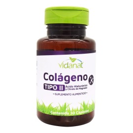 Colageno Tipo Ii Ácido Hialurónico Magnesio 30 Cáp Vidanat Sabor Sin sabor