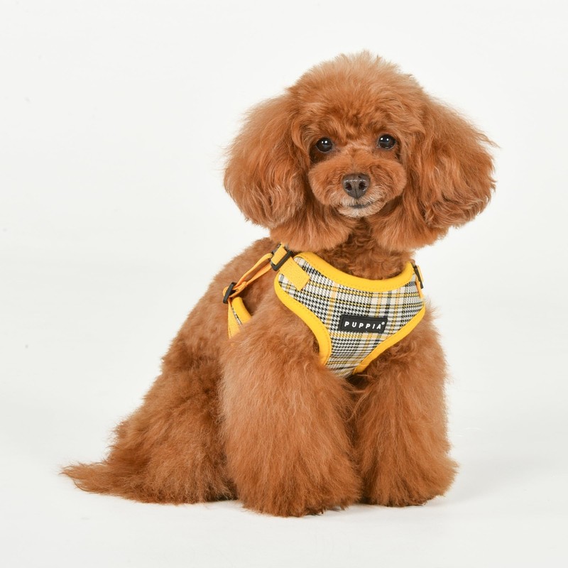 Puppia Lucas Dog Comfort Harness C (Step-in) Fashionable Checkered Pattern