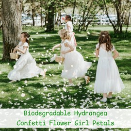 1500Pcs Real Dried Ivory White Hydrangea Flower Petals - Natural smal Petals for Wedding, Party Confetti, Valentine's Day, Flower Girl Baskets, Romantic Night, Proposal Decor, Handcrafts (1.06 oz)