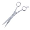 6-1/2 Inch Salon Barber's Shear - Ice-Tempered Stainless Steel