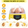 HOWOOIUA Mini Egg Incubator 360° View 7 Eggs Poultry Incubator