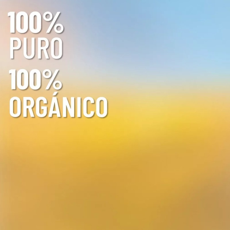 Oleum Vitae Mezcla De Aceites Esenciales 100% Puros Energy 15