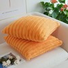 JOJUSIS Pack of 2 Faux Fur Plush Decorative Throw Pillow