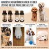 Eyein 3 Pairs of Double-Sided Non-Slip Socks for Dogs, Soft