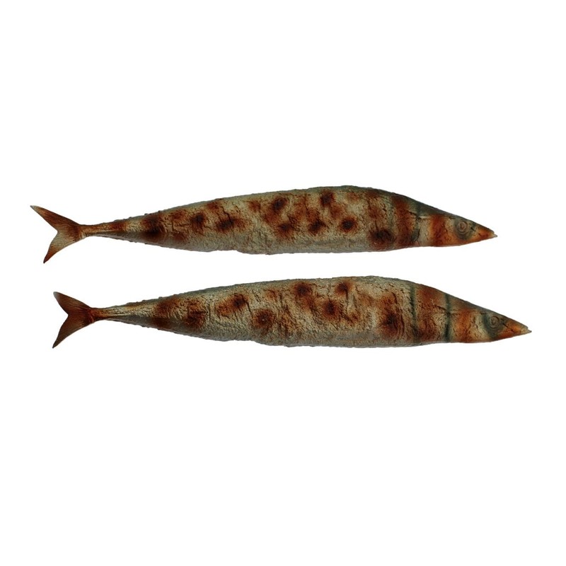 Speed Mao Realistic Lifelike Sanma Grilled Fish Food Sample Food