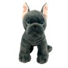 Toys Wonderland Freddie the Frenchie 8" Stuffed Dog Toy with