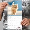 2026 Kittens Mini Calendar