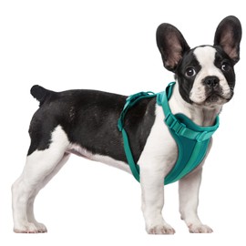 Wisedog No Pull Lightweight Dog Vest Harness with Soft and Comfortable Cushion, Breathable Mesh, for Small Medium Large Dogs Walking (M(Neck: 11.81"-18.11";Chest: 18.11"-27.95"), Emerald Green)