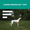Tmax Canine & Equine Kinesiology Tape | Veterinary Medical Tape