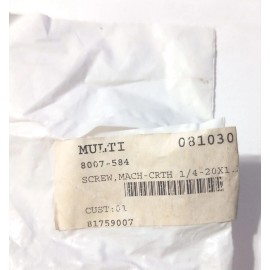 Arctic Cat Machine Screw  1/4-20X1.25 NOS 8007-584 (L-1908)