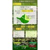 Honjien Tea Japanese Tea Organic Powdered Green Tea, 3.5 oz