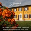 Giuseppe Giusti Raspberry Balsamic Vinegar - Flavored Balsamic Vinegar Imported