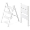 GameGem 3 Step Ladder, Aluminum Folding Step Stool with Anti-Slip