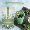 TGB SUPERFOODS | Alga Espirulina en Polvo | 100% Puro