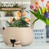 Bookworm Planter Pot Reading Book Succulent Pot Cute Home Office
